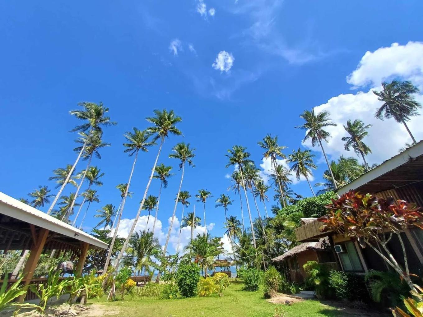 Amihan Beach Hostel San Vicente  Exteriér fotografie