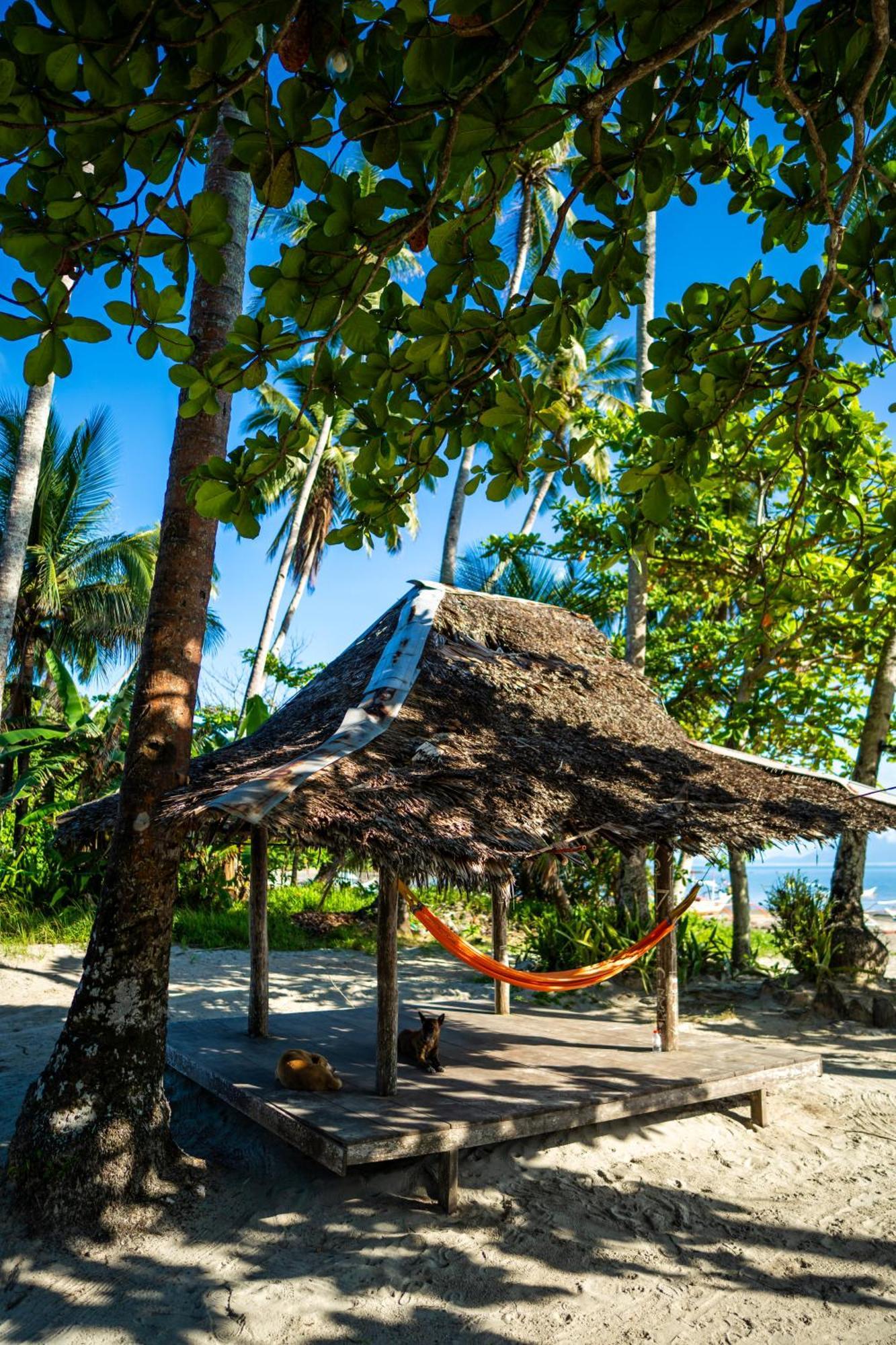 Amihan Beach Hostel San Vicente  Exteriér fotografie