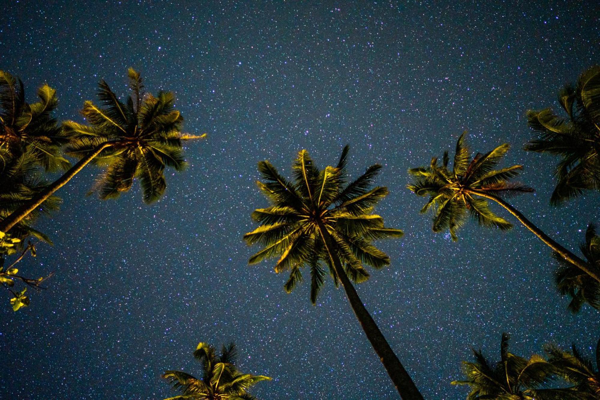 Amihan Beach Hostel San Vicente  Exteriér fotografie
